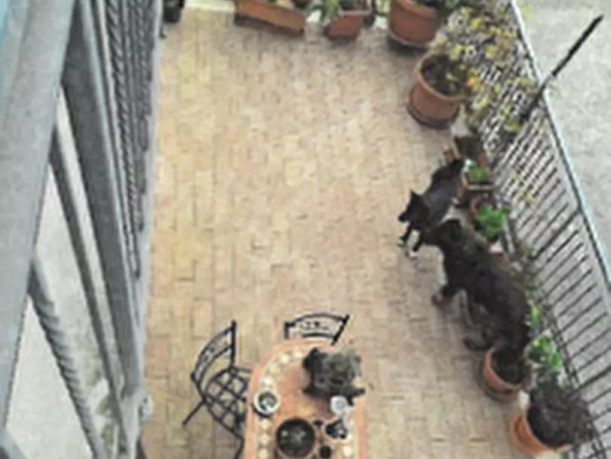 Immagine 4 di Villa in vendita  in Strada Seconda di Vallicelle a Gavignano