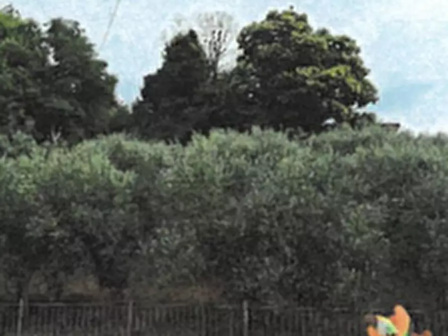 Immagine 6 di Villa in vendita  in Strada Seconda di Vallicelle a Gavignano