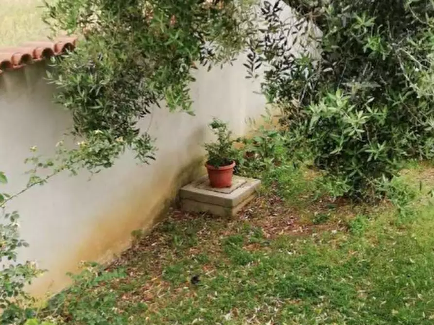 Immagine 4 di Villa in vendita  in Via Palestrina a Nettuno