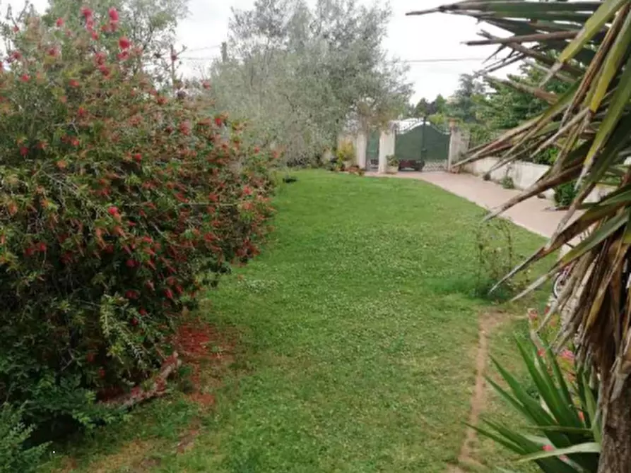 Immagine 6 di Villa in vendita  in Via Palestrina a Nettuno
