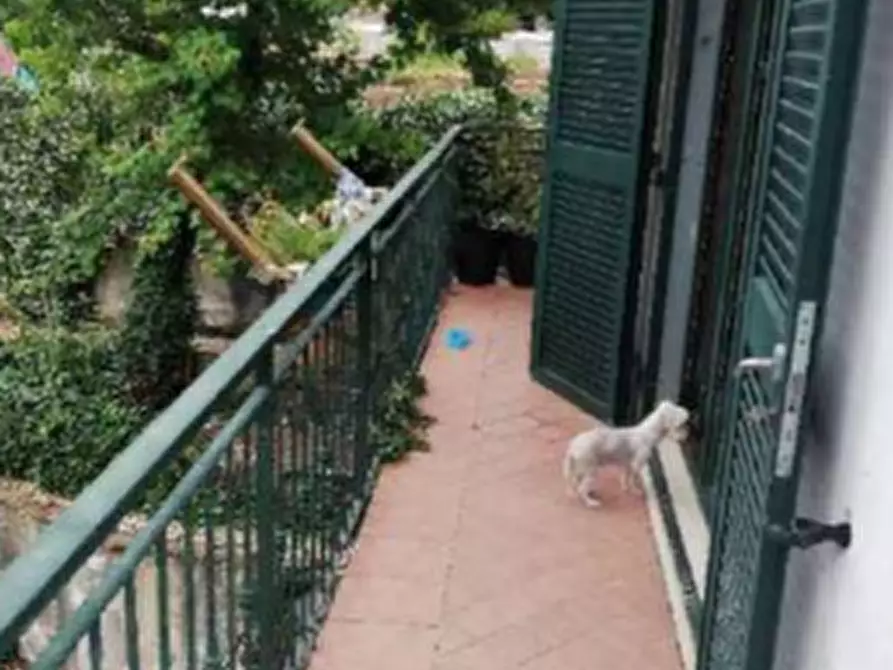 Immagine 7 di Villa in vendita  in Via Palestrina a Nettuno