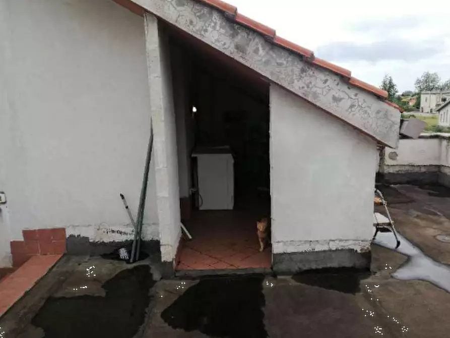 Immagine 8 di Villa in vendita  in Via Palestrina a Nettuno