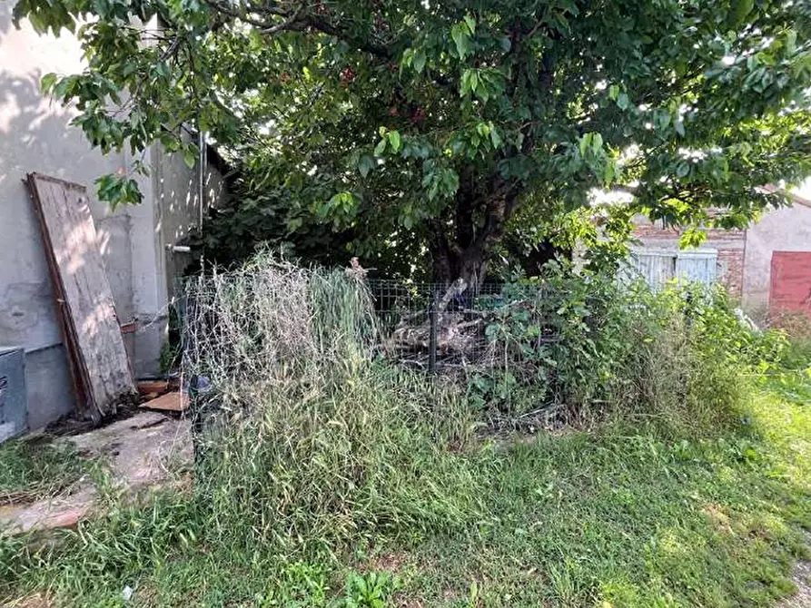 Immagine 7 di Casa indipendente in vendita  in Via Contotta a San Giacomo Delle Segnate