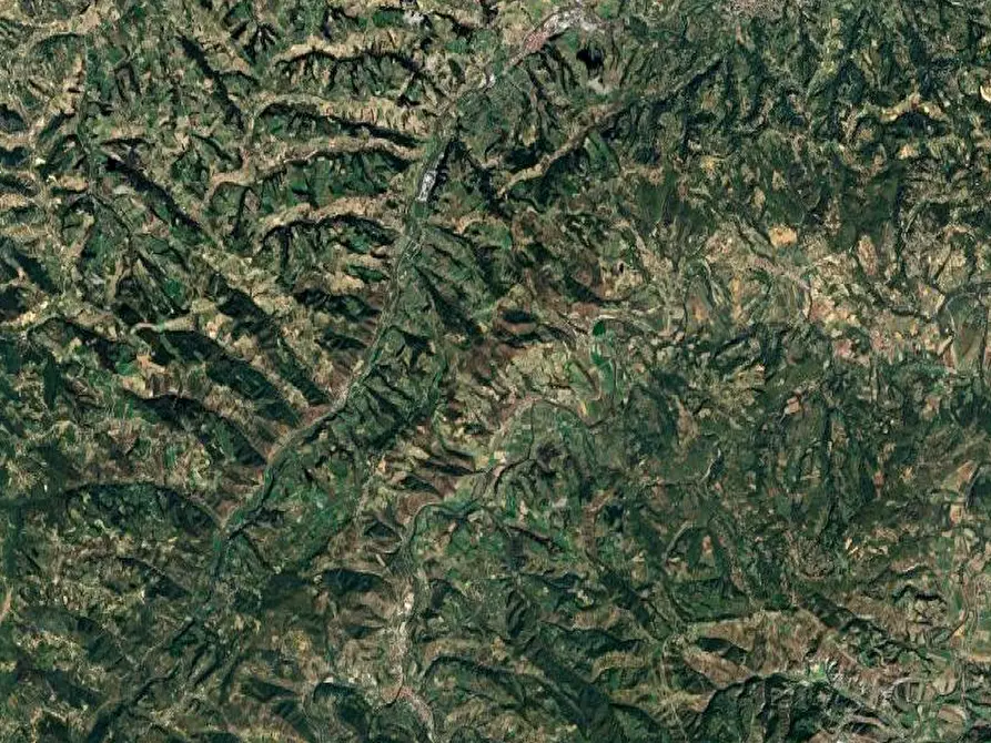 Immagine 1 di Terreno agricolo in vendita  in Via Pierino Scarampi a Vesime