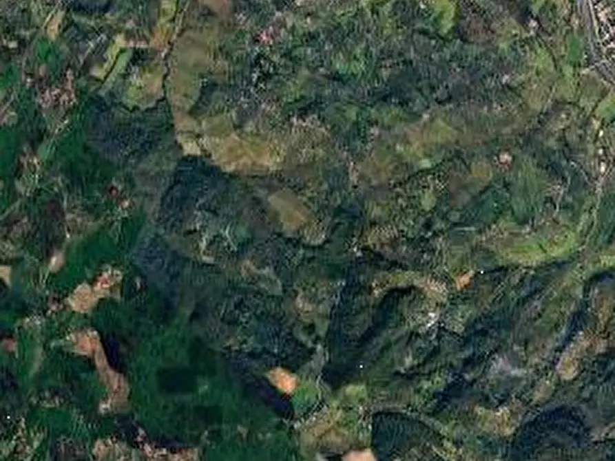 Immagine 7 di Terreno agricolo in vendita  in Via San Martino a Scandicci