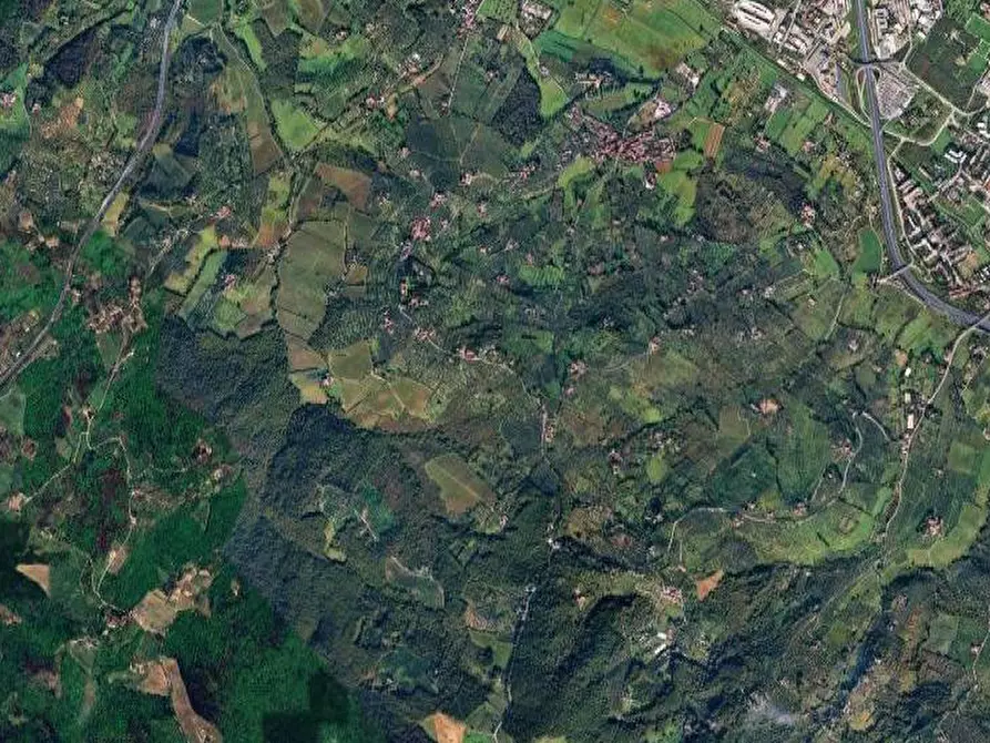 Immagine 6 di Terreno agricolo in vendita  in Via San Martino a Scandicci