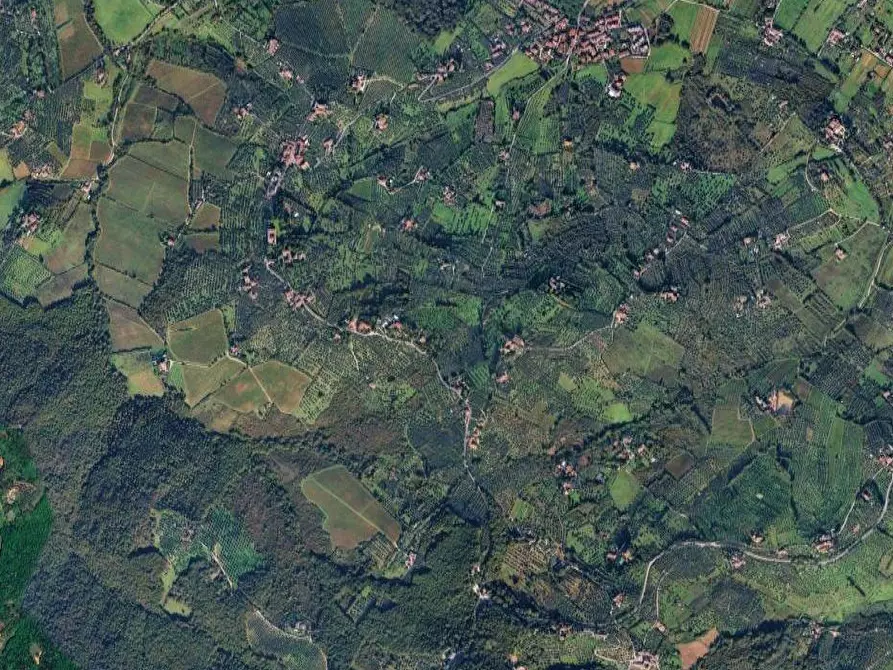 Immagine 5 di Terreno agricolo in vendita  in Via San Martino a Scandicci