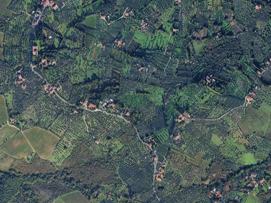 Immagine 3 di Terreno agricolo in vendita  in Via San Martino a Scandicci