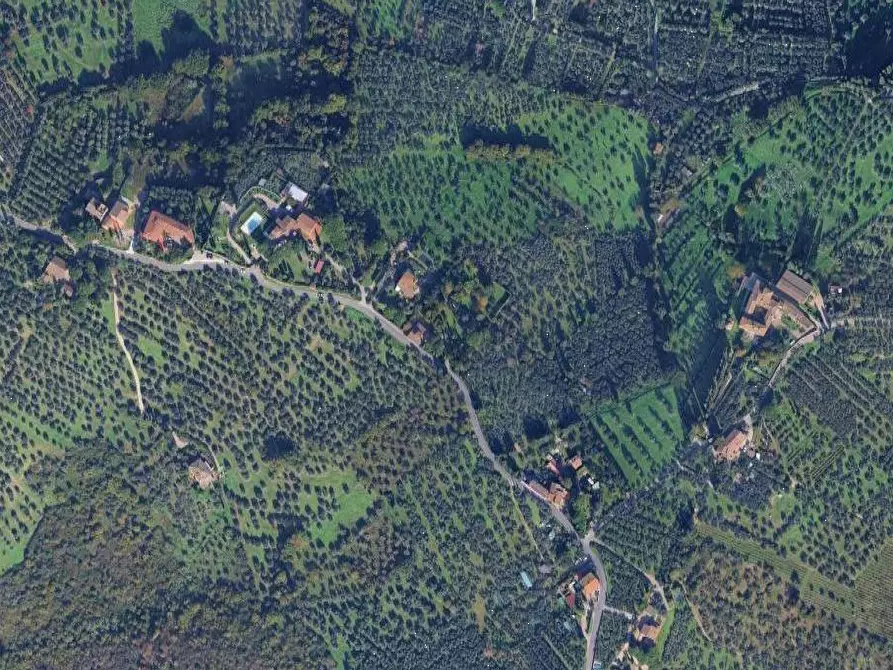 Immagine 4 di Terreno agricolo in vendita  in Via San Martino a Scandicci