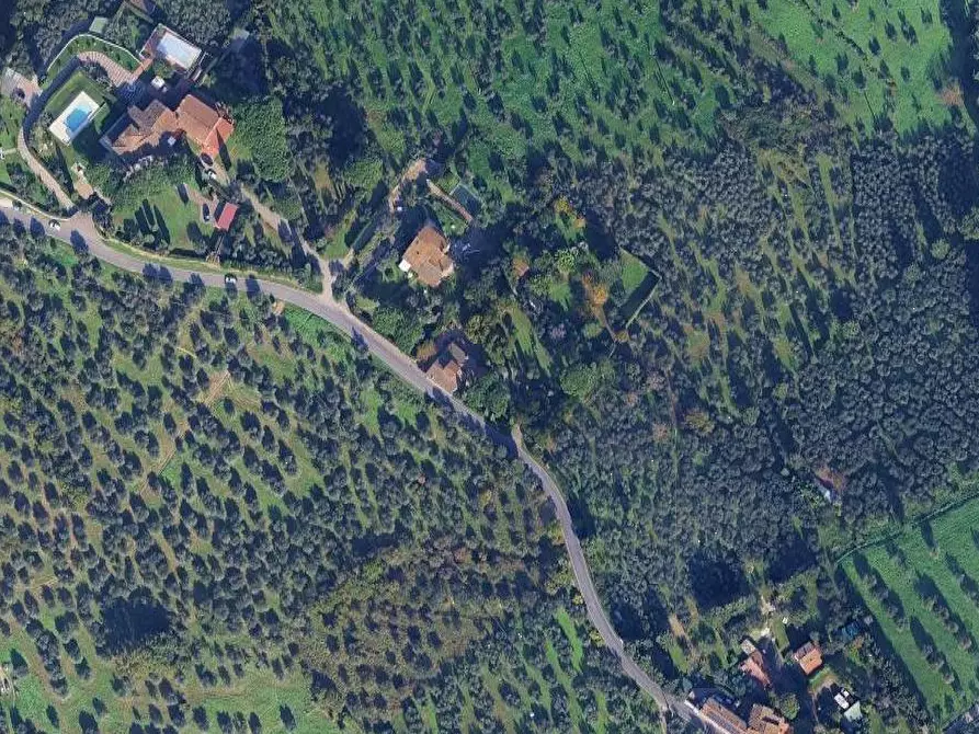 Immagine 2 di Terreno agricolo in vendita  in Via San Martino a Scandicci