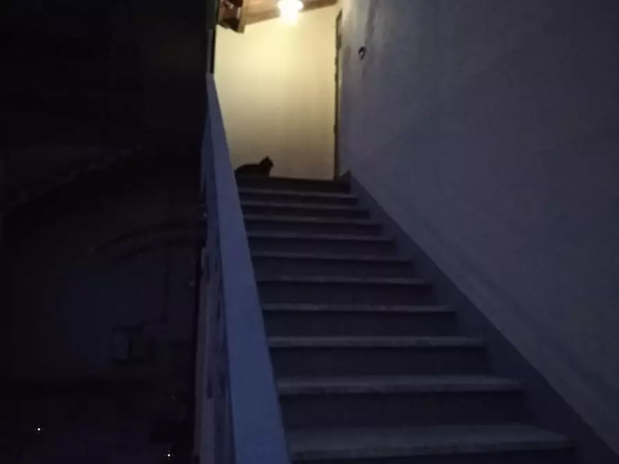 Immagine 2 di Appartamento in vendita  in Località Giungo a Arcidosso