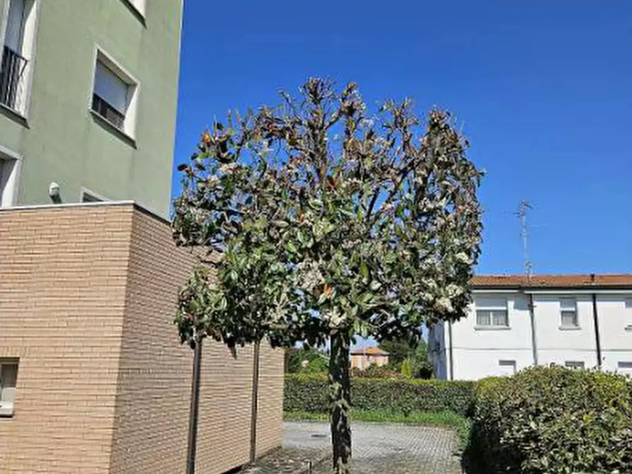 Immagine 9 di Appartamento in vendita  in Via Gianni Rodari a Sermide