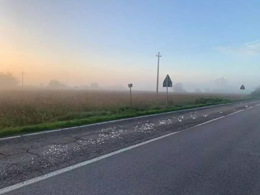 Immagine 1 di Terreno edificabile in vendita  in Strada Zara Zanetta a Suzzara