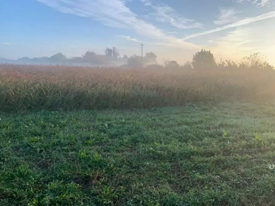 Immagine 9 di Terreno edificabile in vendita  in Strada Zara Zanetta a Suzzara