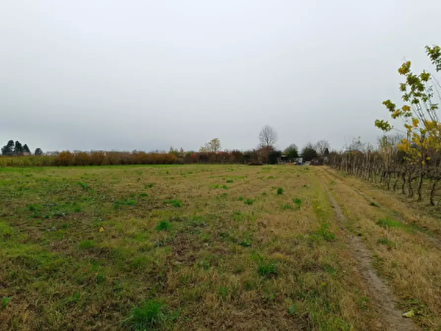 Immagine 5 di Terreno agricolo in vendita  in Località Marcallo con Casone a Marcallo Con Casone