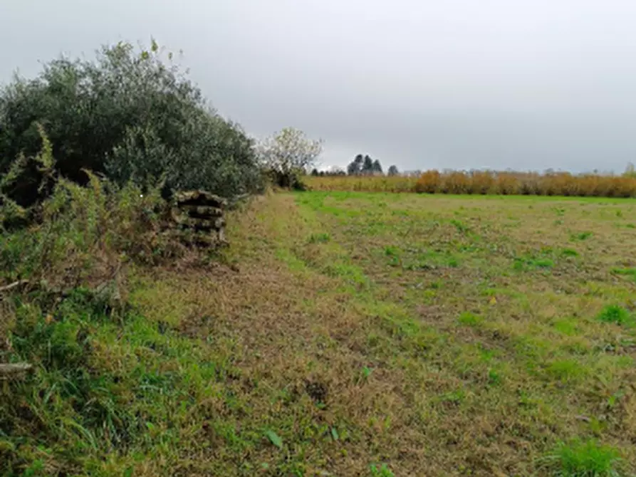 Immagine 7 di Terreno agricolo in vendita  in Località Marcallo con Casone a Marcallo Con Casone
