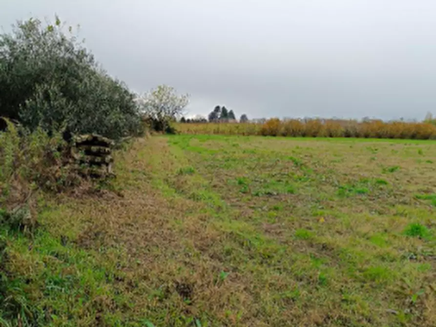 Immagine 8 di Terreno agricolo in vendita  in Località Marcallo con Casone a Marcallo Con Casone