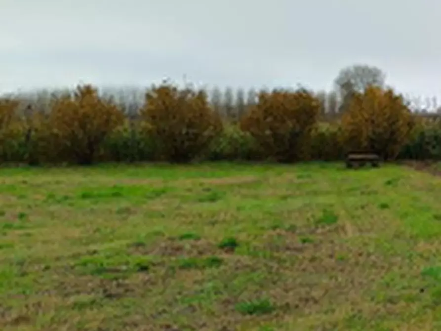 Immagine 9 di Terreno agricolo in vendita  in Località Marcallo con Casone a Marcallo Con Casone