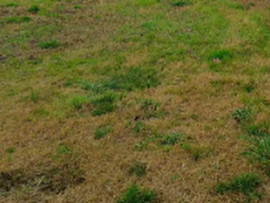 Immagine 10 di Terreno agricolo in vendita  in Località Marcallo con Casone a Marcallo Con Casone
