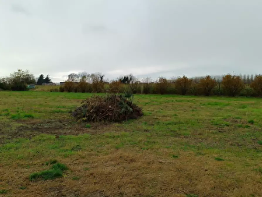 Immagine 11 di Terreno agricolo in vendita  in Località Marcallo con Casone a Marcallo Con Casone