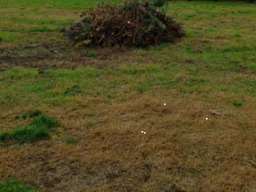 Immagine 12 di Terreno agricolo in vendita  in Località Marcallo con Casone a Marcallo Con Casone