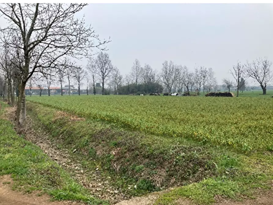 Immagine 2 di Terreno agricolo in vendita  in Località Roggia a Inzago