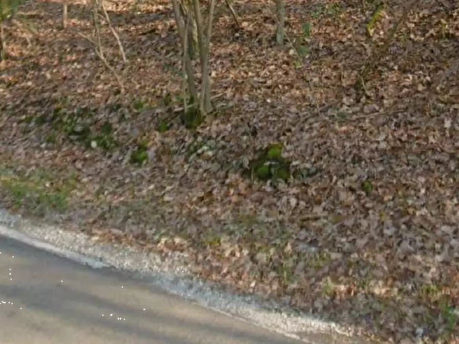 Immagine 5 di Terreno agricolo in vendita  in Via Cerone a Nosate