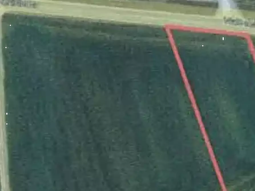 Immagine 3 di Terreno edificabile in vendita  in Viale della Resistenza a Castano Primo