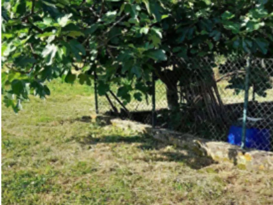 Immagine 2 di Terreno edificabile in vendita  in Località Fornacina a Reggello