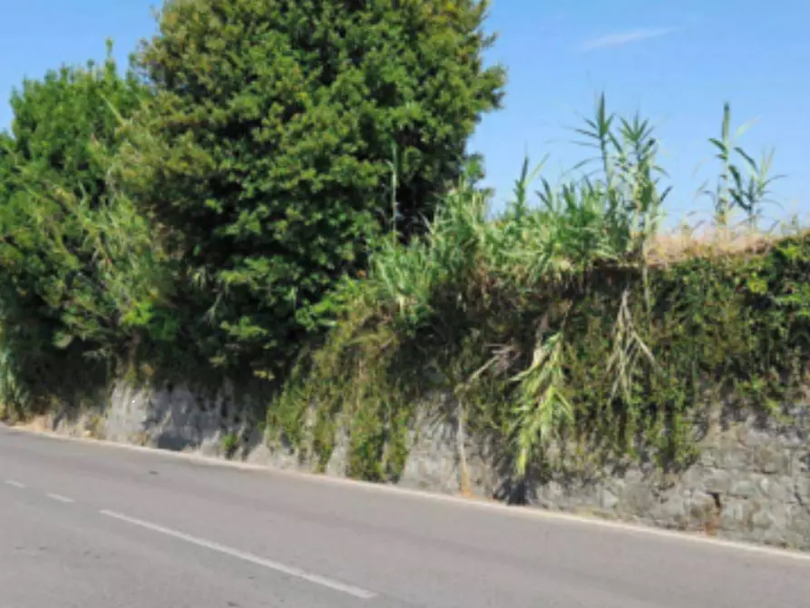 Immagine 7 di Terreno edificabile in vendita  in Località Fornacina a Reggello