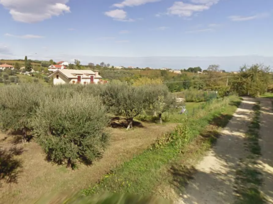 Immagine 9 di Villa in vendita  in Contrada San Basile a Orsogna