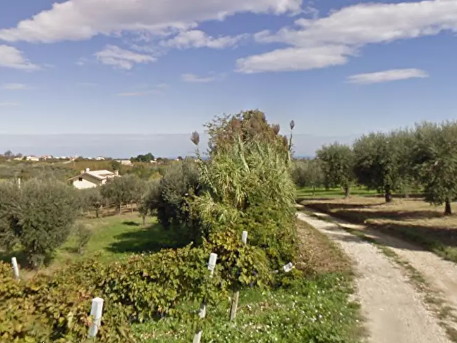 Immagine 11 di Villa in vendita  in Contrada San Basile a Orsogna