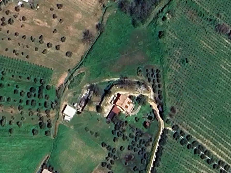 Immagine 13 di Villa in vendita  in Contrada San Basile a Orsogna