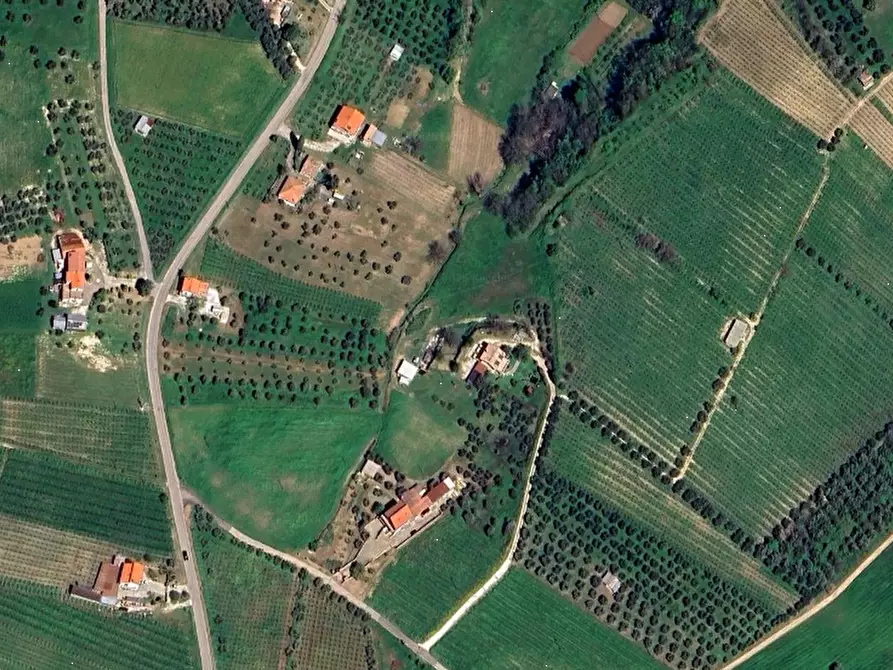 Immagine 15 di Villa in vendita  in Contrada San Basile a Orsogna