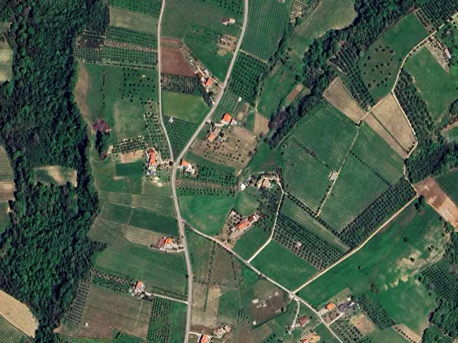 Immagine 16 di Villa in vendita  in Contrada San Basile a Orsogna