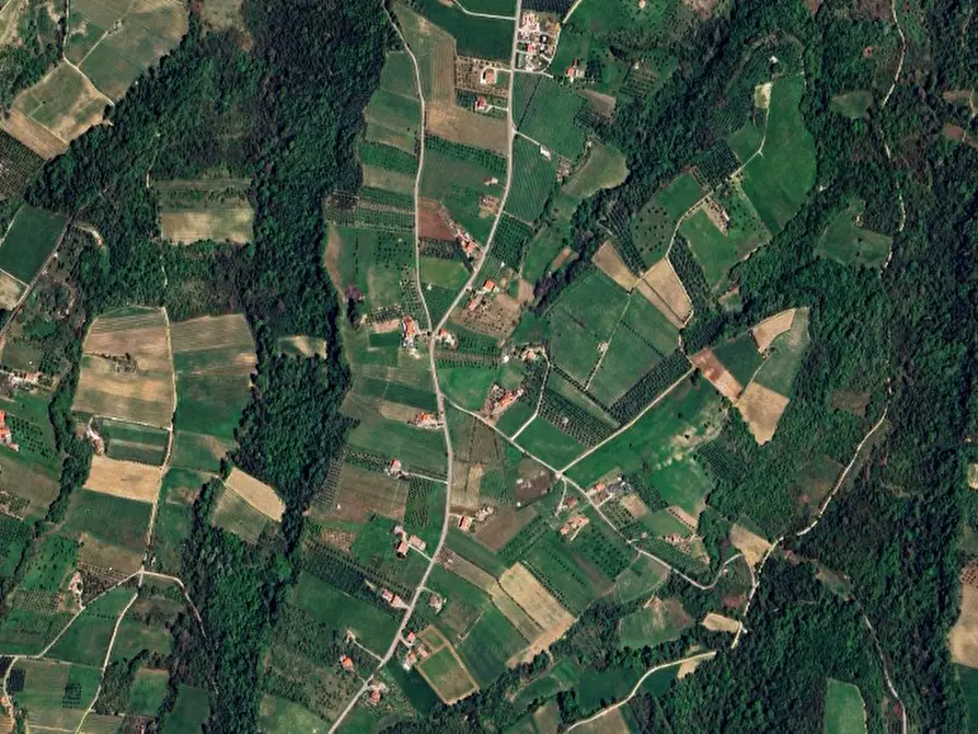 Immagine 17 di Villa in vendita  in Contrada San Basile a Orsogna