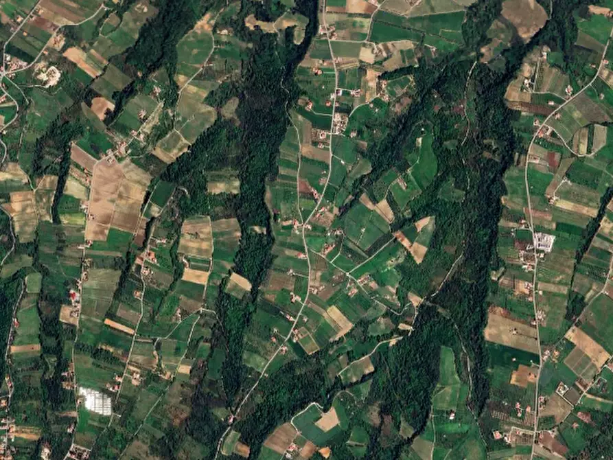 Immagine 18 di Villa in vendita  in Contrada San Basile a Orsogna