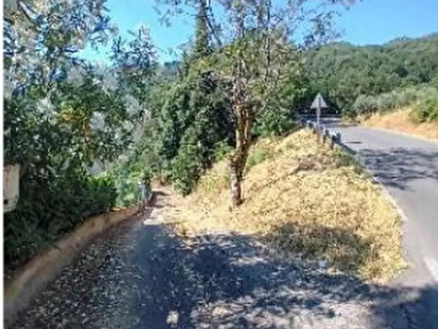 Immagine 2 di Terreno agricolo in vendita  in Via Case Sparse a Greve In Chianti