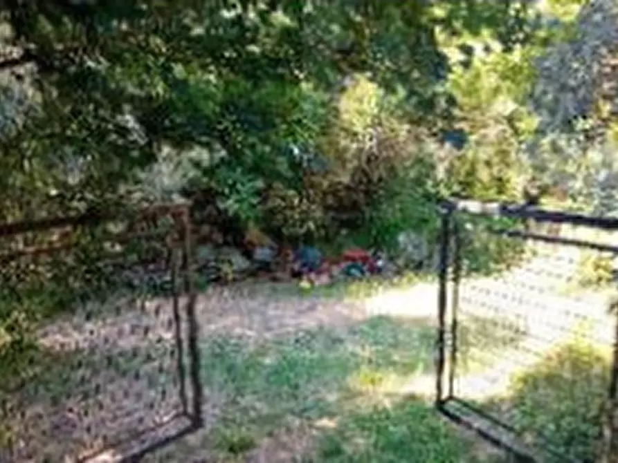 Immagine 3 di Terreno agricolo in vendita  in Via Case Sparse a Greve In Chianti