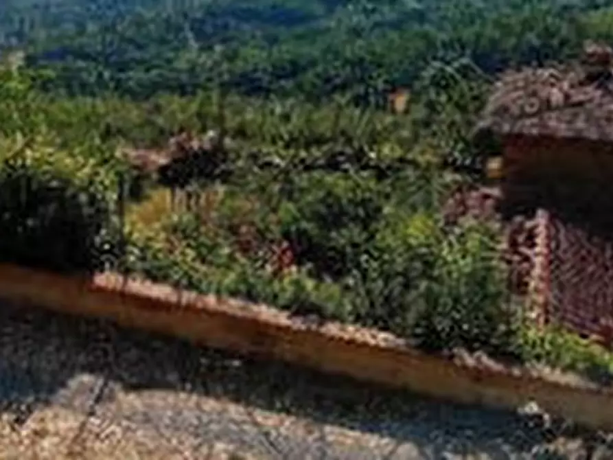 Immagine 6 di Terreno agricolo in vendita  in Via Case Sparse a Greve In Chianti