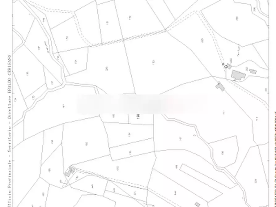 Immagine 11 di Terreno agricolo in vendita  in Via Case Sparse a Greve In Chianti