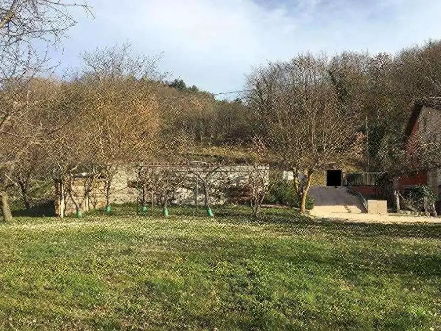 Immagine 4 di Azienda agricola in vendita  in Località Valrea a Pergola