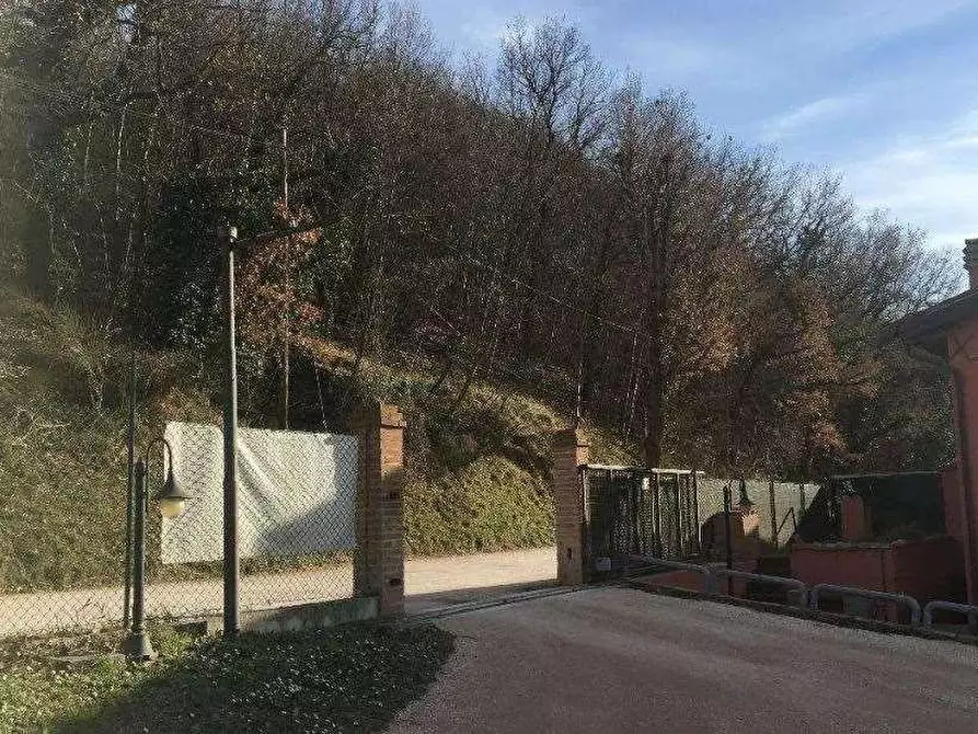 Immagine 6 di Azienda agricola in vendita  in Località Valrea a Pergola
