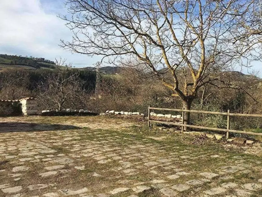 Immagine 10 di Azienda agricola in vendita  in Località Valrea a Pergola