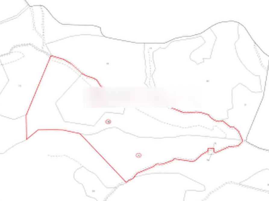 Immagine 6 di Terreno agricolo in vendita  in Località Valle Acerreta Valdrè a Marradi