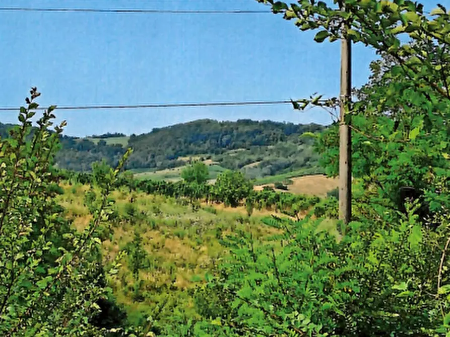 Immagine 1 di Terreno agricolo in vendita  in Località Borgoratto Mormorolo a Borgoratto Mormorolo