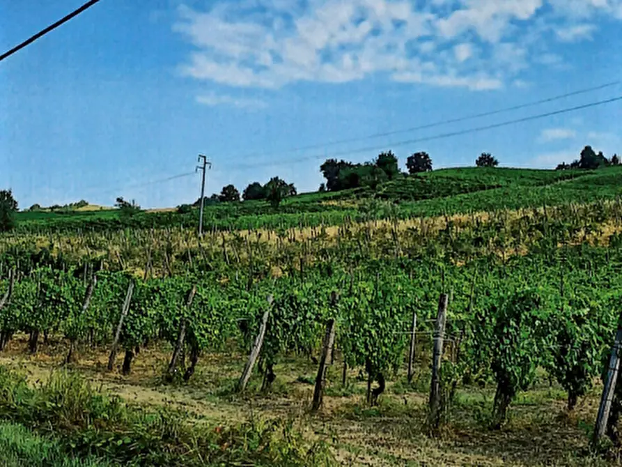 Immagine 3 di Terreno agricolo in vendita  in Località Borgoratto Mormorolo a Borgoratto Mormorolo