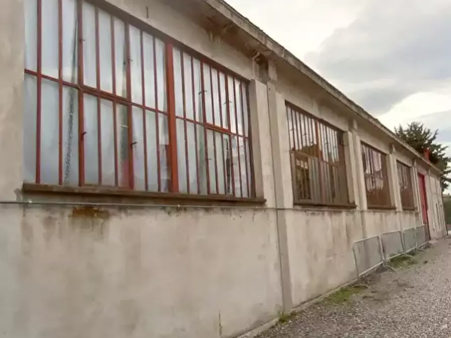 Immagine 4 di Capannone industriale in vendita  in Viale Marche a Monte Porzio