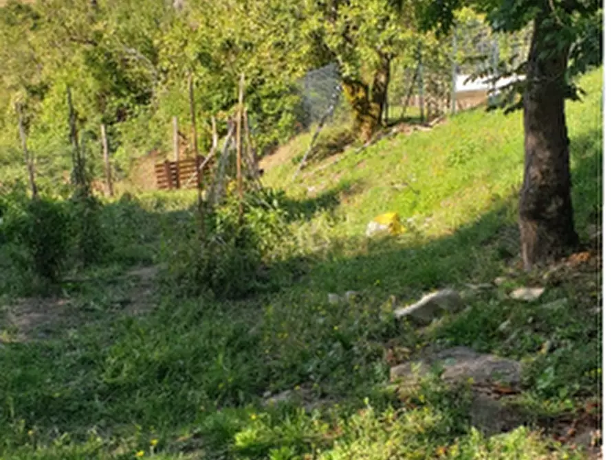 Immagine 5 di Appartamento in vendita  in Via Bruscoli a Firenzuola