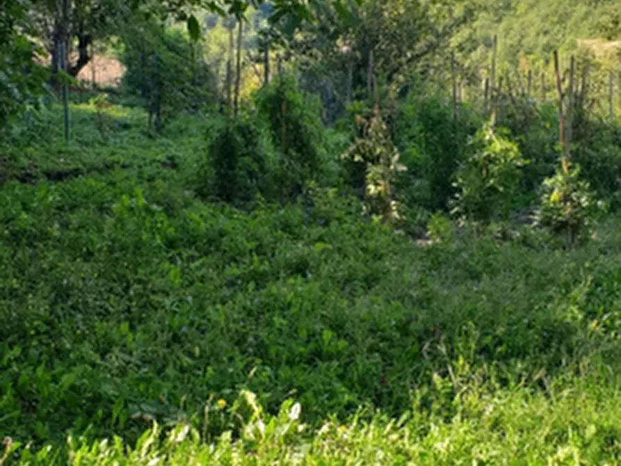 Immagine 6 di Appartamento in vendita  in Via Bruscoli a Firenzuola